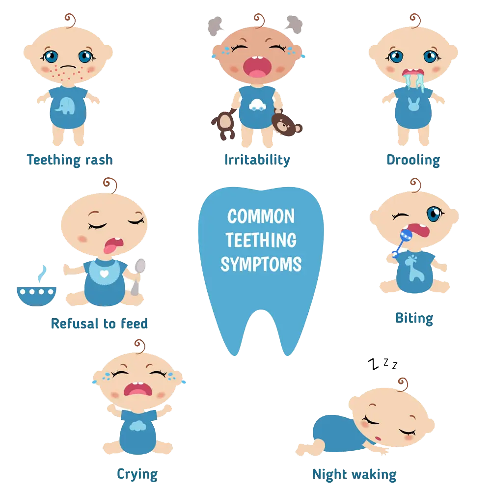 Teething Symptoms