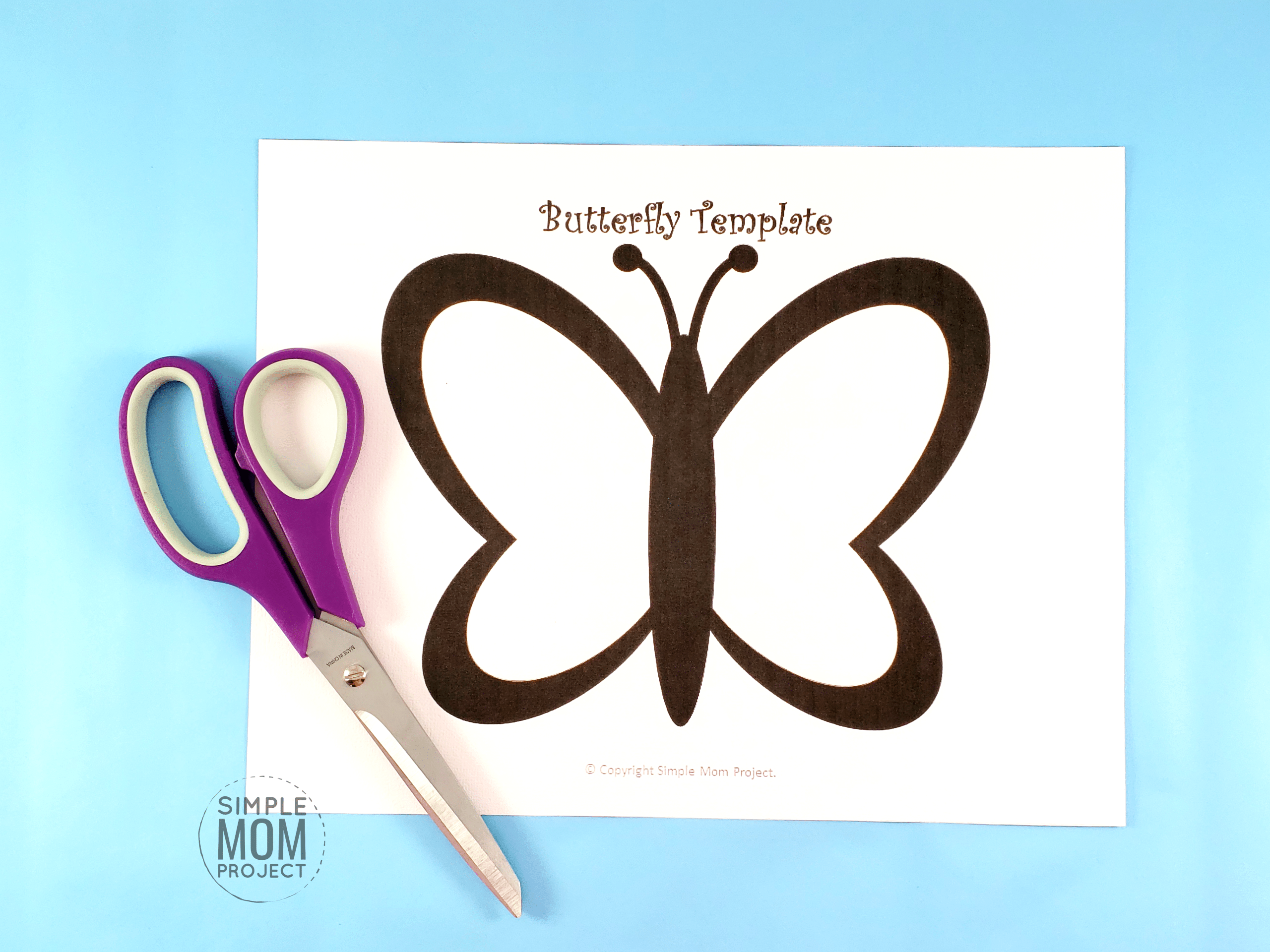 Step 1 To Make a Butterfly Suncatcher
