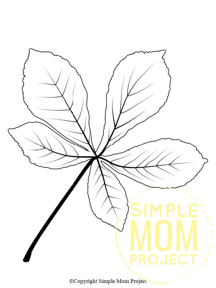 Free Printable Autumn and Fall Leaf Template, Stencil and Pattern