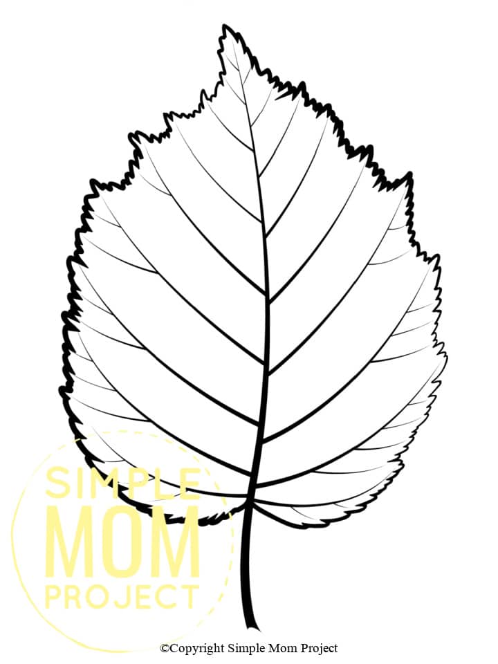 Free Printable Autumn and Fall Leaf Template, Stencil and Pattern
