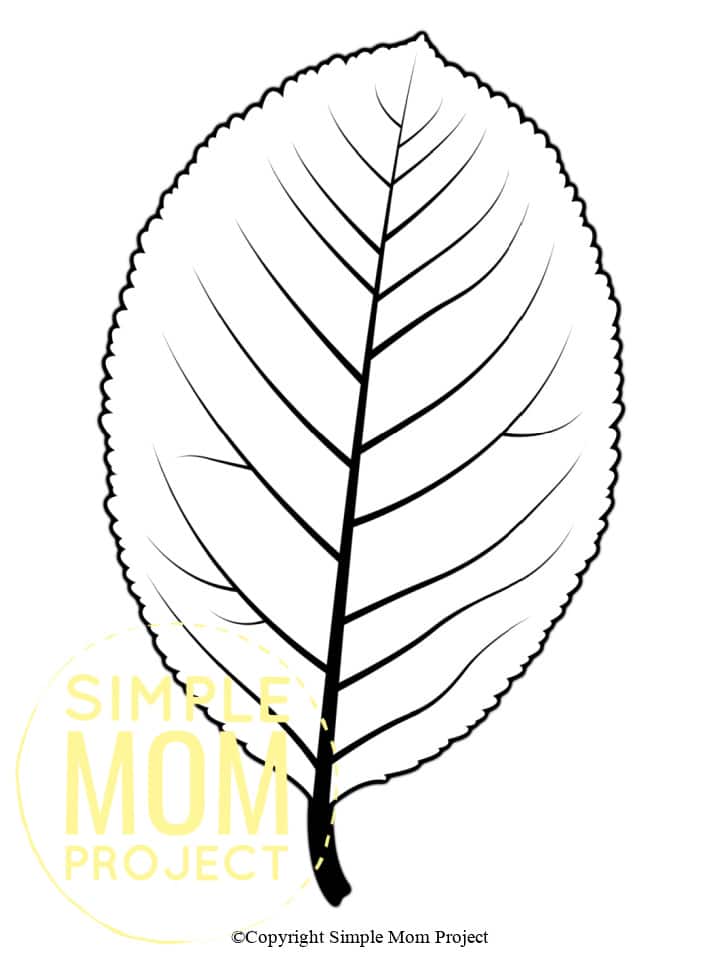 Free Printable Autumn and Fall Leaf Template, Stencil and Pattern