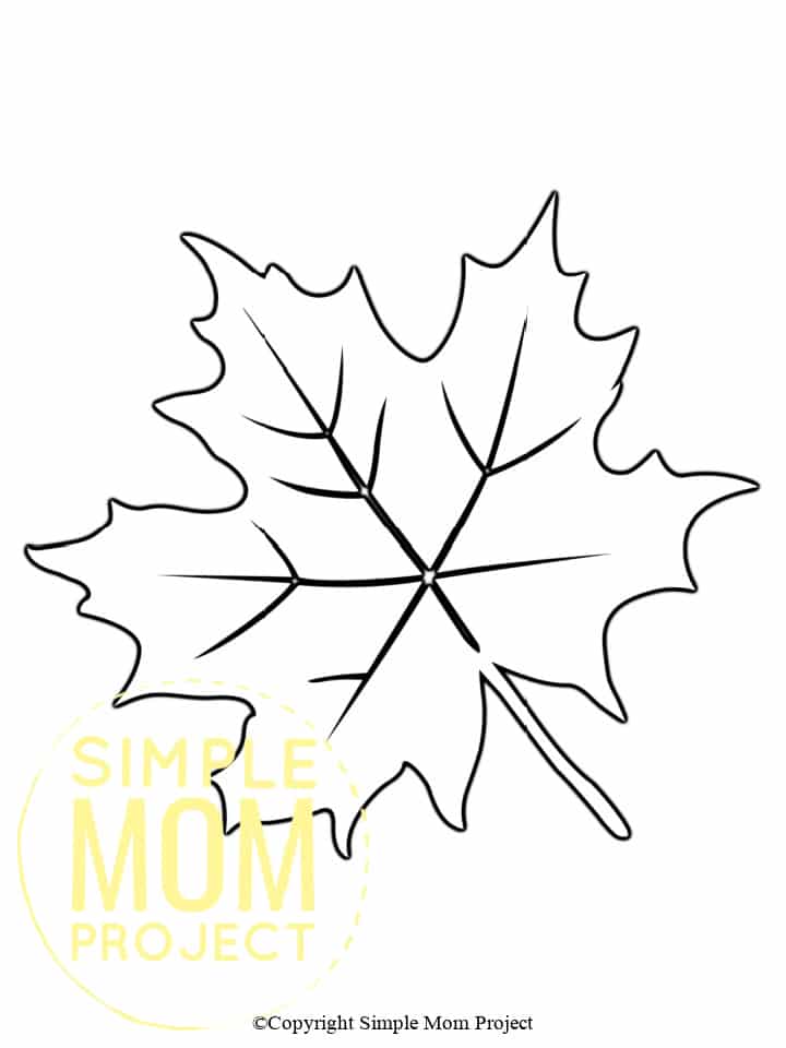 Free Printable Autumn and Fall Leaf Template, Stencil and Pattern