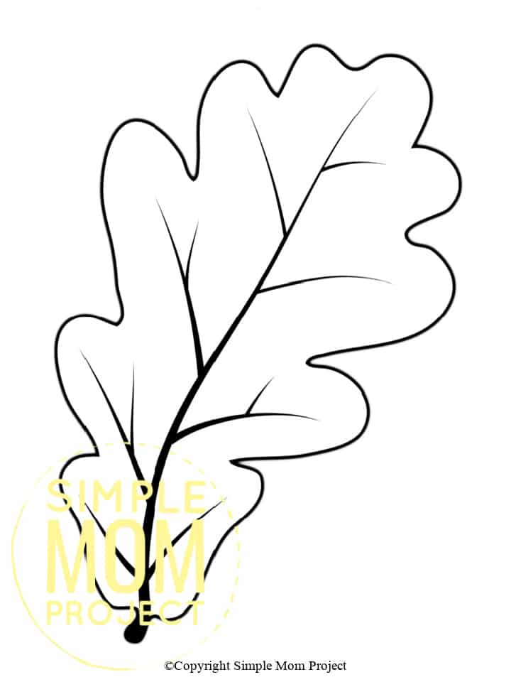 Free Printable Autumn and Fall Leaf Template, Stencil and Pattern