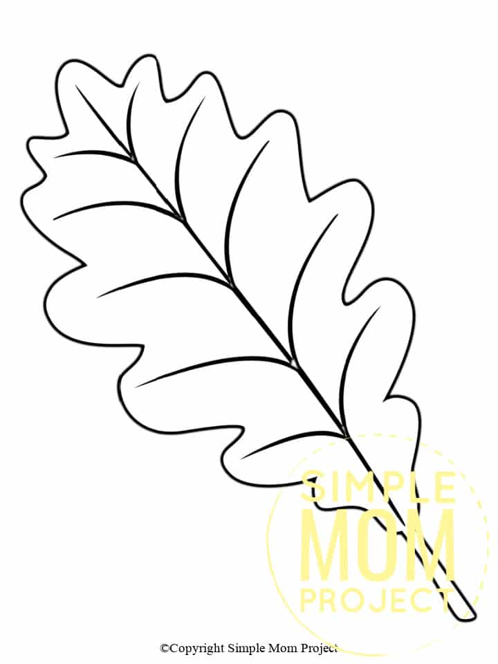 Free Printable Autumn and Fall Leaf Template, Stencil and Pattern