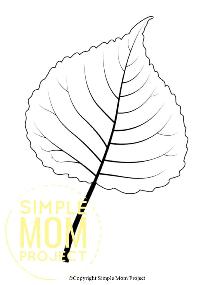 Free Printable Autumn and Fall Leaf Template, Stencil and Pattern