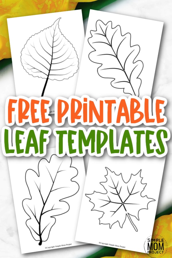 Looking for an autumn leaf craft idea? Use these free large printable leaf cutout templates so spark your creativity! These fall leaf stencils make a perfect easy coloring page for preschoolers or have your kindergartner paint them as fall decorations! From maple leaf to classic printable leaf templates, there's a fall leaf printable cut out for you!