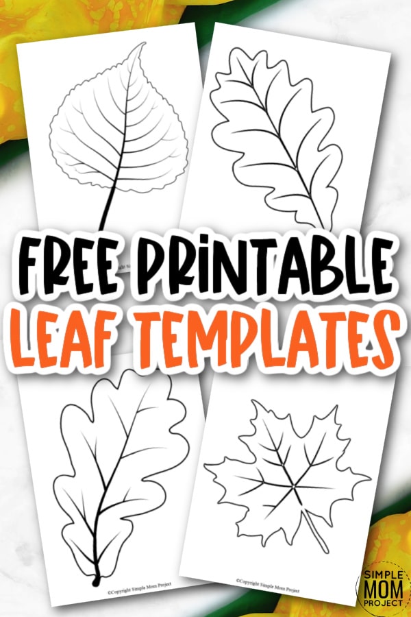 Looking for an autumn leaf craft idea? Use these free large printable leaf cutout templates so spark your creativity! These fall leaf stencils make a perfect easy coloring page for preschoolers or have your kindergartner paint them as fall decorations! From maple leaf to classic printable leaf templates, there's a fall leaf printable cut out for you!