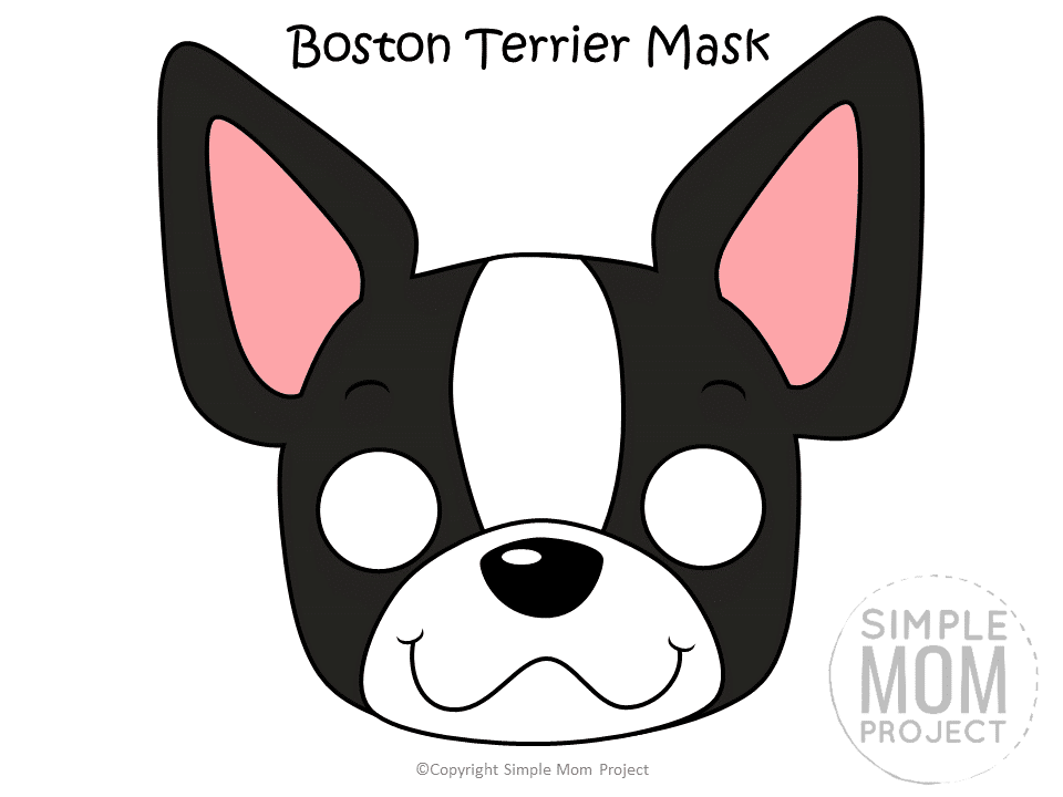 Free Printable Boston Terrier Dog Face Mask Colored