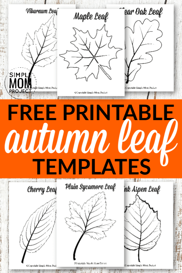 Free Printable Large leaf template outlines, stencils and patterns