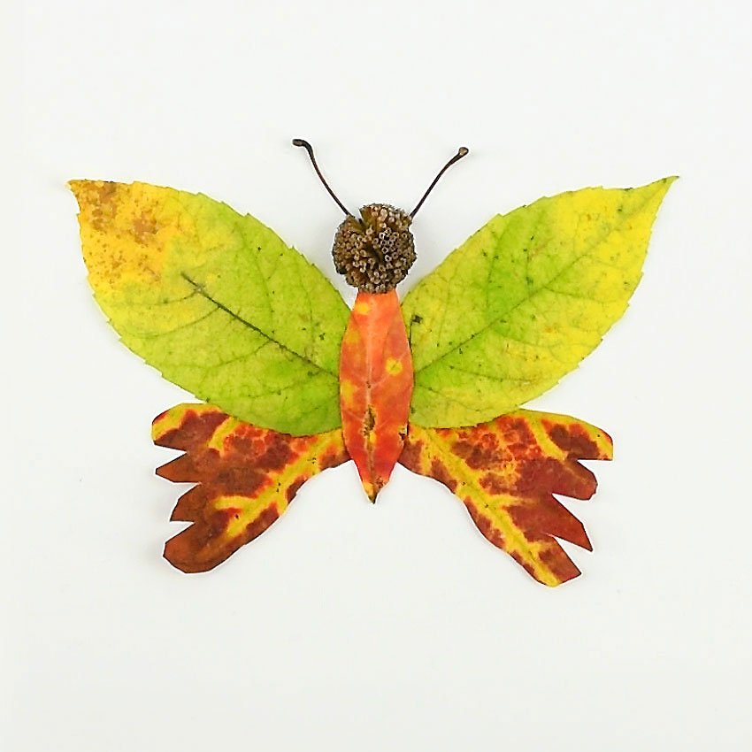 Fun and adorable spring and summer butterfly crafts for kids, preschoolers and toddlers
