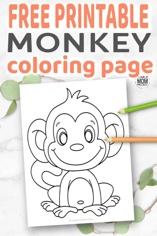 Click and get this free printable cute baby cartoon monkey coloring page! He is simple for preschoolers and toddlers. Adults and big kids would love coloring this monkey sheet too! Print and get yours now! #MonkeyColoring #MonkeyColoringSheet #MonkeyCrafts #SimpleMomProject