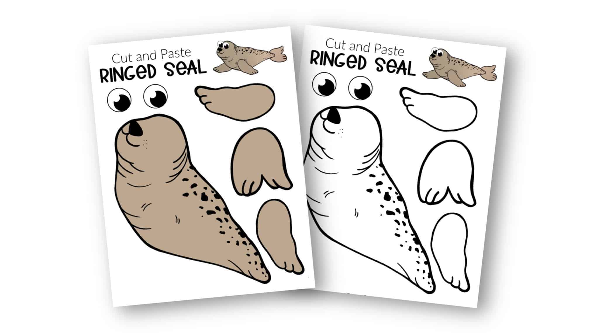 Free Printable Arctic Animal Ringed Seal Craft for Kids Preschoolers and Toddlers 
