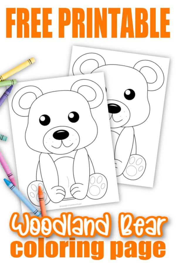 Free Printable Woodland Forest Bear Coloring Page for Kids Preschoolers Toddlers and kindergartners