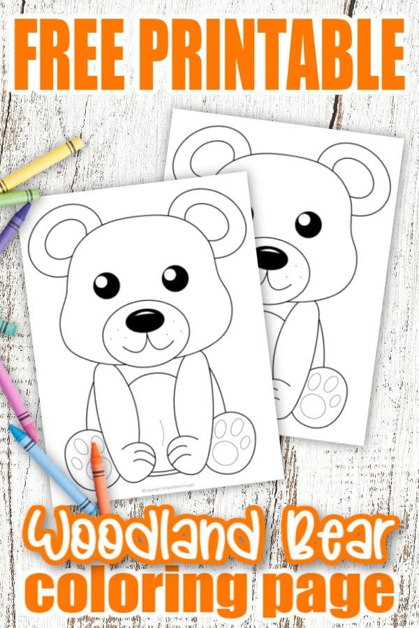 Free Printable Woodland Forest Bear Coloring Page for Kids Preschoolers Toddlers and kindergartners