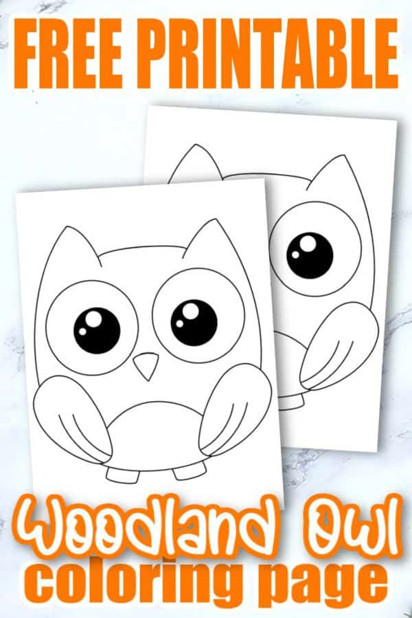 Free Printable Woodland Forest Owl Coloring Page for Kids Preschoolers Toddlers and kindergartners