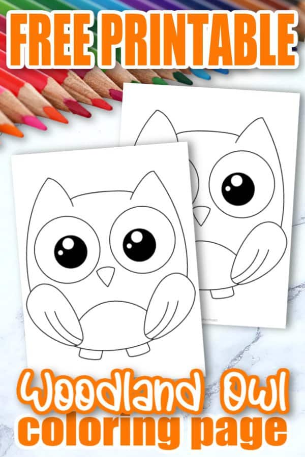 Free Printable Woodland Forest Owl Coloring Page for Kids Preschoolers Toddlers and kindergartners