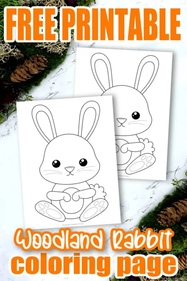 Looking for an easy and free printable rabbit coloring page for your kids? Here’s a simple but very cute rabbit coloring page ready to add to your toddlers coloring book or wall art decorations. Click here to print your coloring pages as your kids create Roger, Peter, Brer, Jessica and more. Rabbit coloring pages are super popular so get yours today! #Rabbitcoloringpages #forestrabbitcoloringpages #forestanimalcoloringpages #coloringpagesforkids #SimpleMomProject