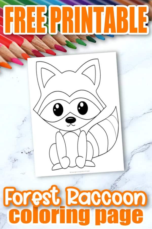 Free Printable Woodland Forest Raccoon Coloring Page for Kids Preschoolers Toddlers and kindergartners