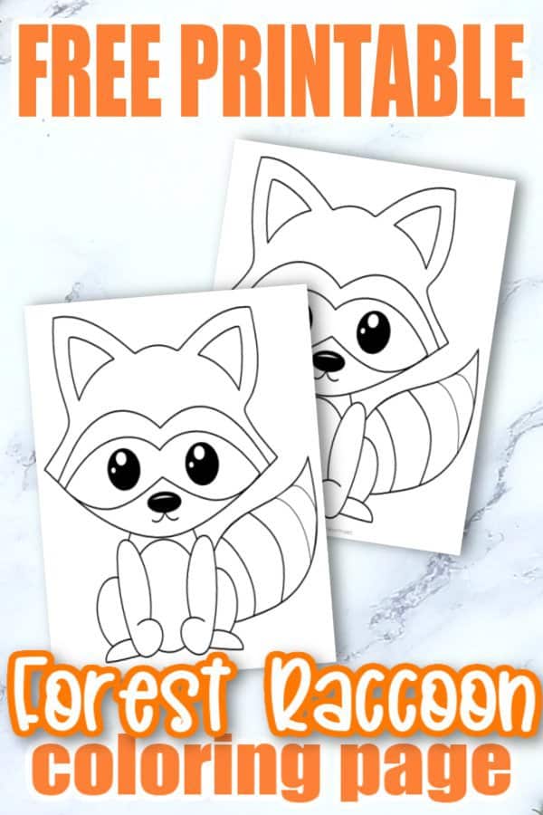 Free Printable Woodland Forest Raccoon Coloring Page for Kids Preschoolers Toddlers and kindergartners