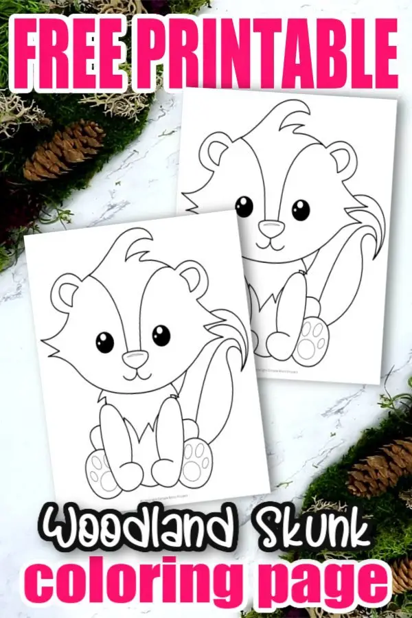 Free Printable Woodland Forest Skunk Coloring Page for Kids Preschoolers Toddlers and kindergartners