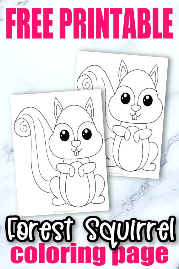 Free Printable Woodland Forest Squirrel Coloring Page for Kids Preschoolers Toddlers and kindergartners