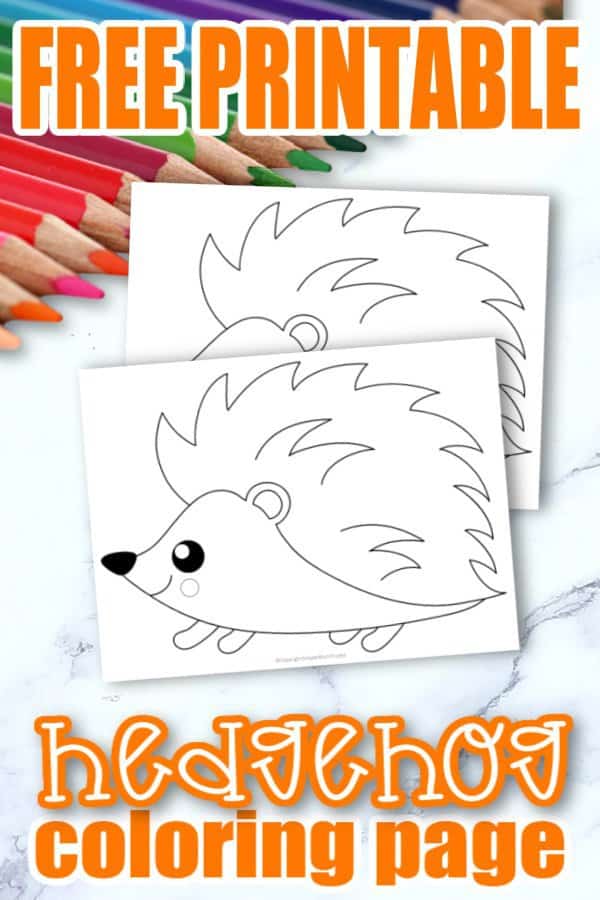 Free Printable Woodland Forest hedgehog Coloring Page for Kids Preschoolers Toddlers and kindergartners