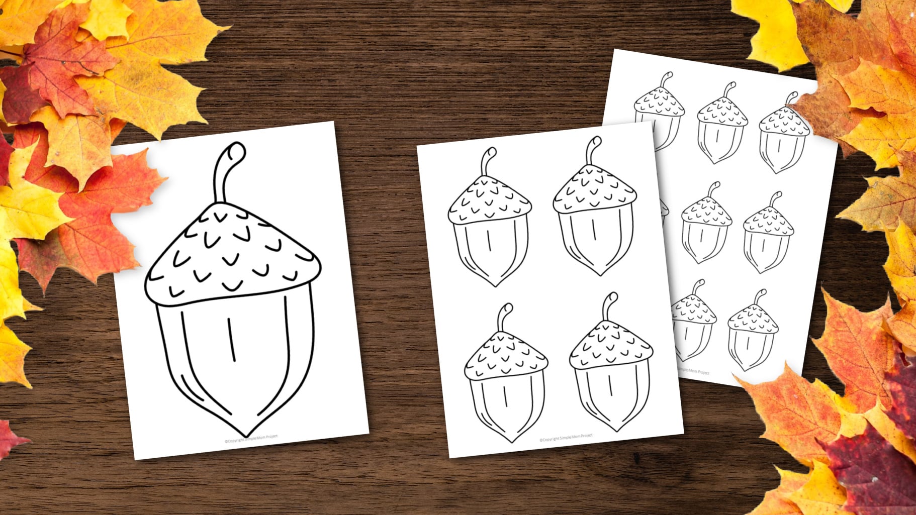 free printable fall acorn template for fall crafts