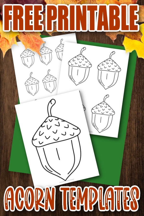 Are you looking for a large and small acorn template to add to your fall crafts? Here’s a free printable Acorn design which is ideal for fun preschool art projects or homeschool coloring crafts. The acorn template makes a great addition to your forest squirrel crafts or even a fall craft stencil. Click here to grab your free Acorn template today! #Acorntemplate #Acornprintable #Fallprintables #Autumnprintables #SimpleMomProject