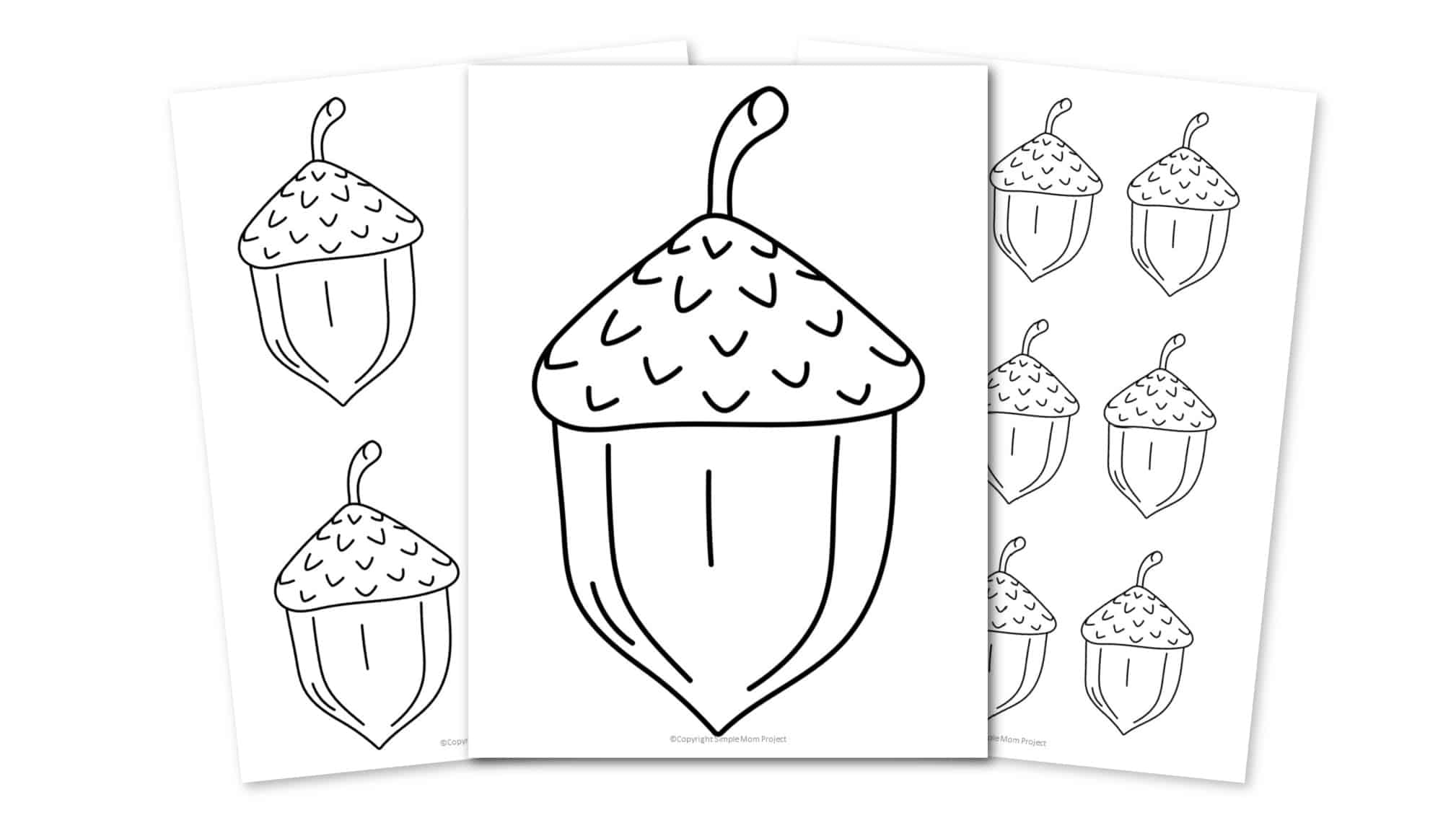 Free Printable Acorn template for acorn and fall crafts for kids