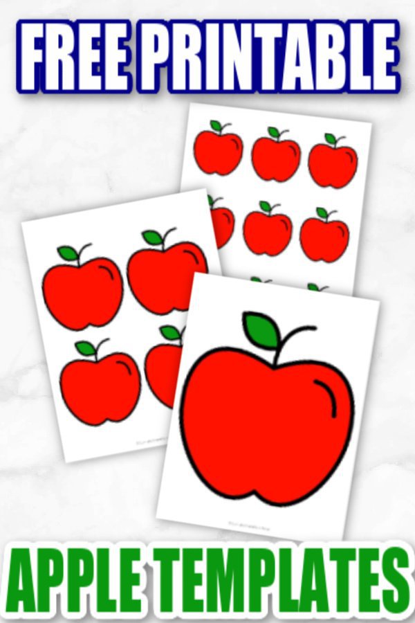Are your kids looking for nice bright red & green apple templates for their spring time crafts? Here’s some easy & free printable apples templates for them to use in both large and small sizes with both red & green apple designs available. What a great way to make simple fruit for your diy apple tree. Click here to grab your free printable red & green apple templates today! #Redappletemplates #Redappleprintables #Greenappletemplates #Greenappleprintables #Appleprintables #SimpleMomProject