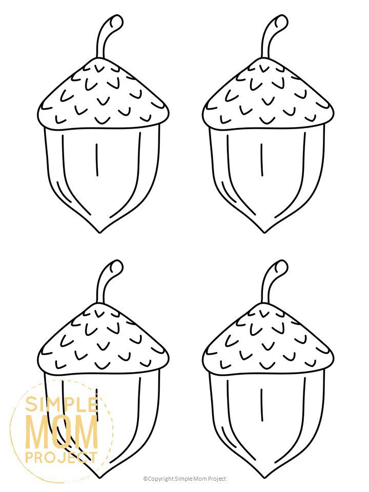 Free Printable Medium Acorn Template