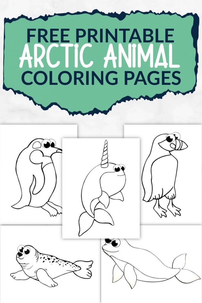 Oh Wow! What a great way to add fun to your kids day with these Arctic Animal Coloring pages. There’s Beluga Whales, cute Baby Harp Seals, simple Penguin coloring sheets & many more. With winter just around the corner, these Arctic Animal Coloring pages are great playtime activities for toddlers, preschoolers or even big kids. Click here & grab your printable Arctic Animal coloring pages today!