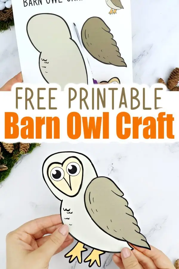 Free Printable Barn Owl Craft for Kids, preschoolers toddlers and kindergartners