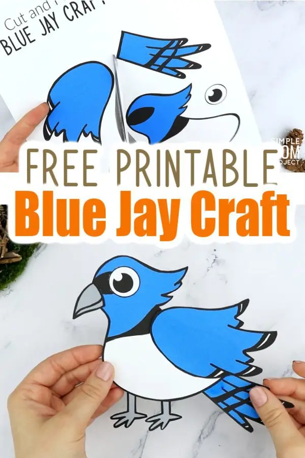 Free Printable Blue Jay Craft for Kids, preschoolers toddlers and kindergartners