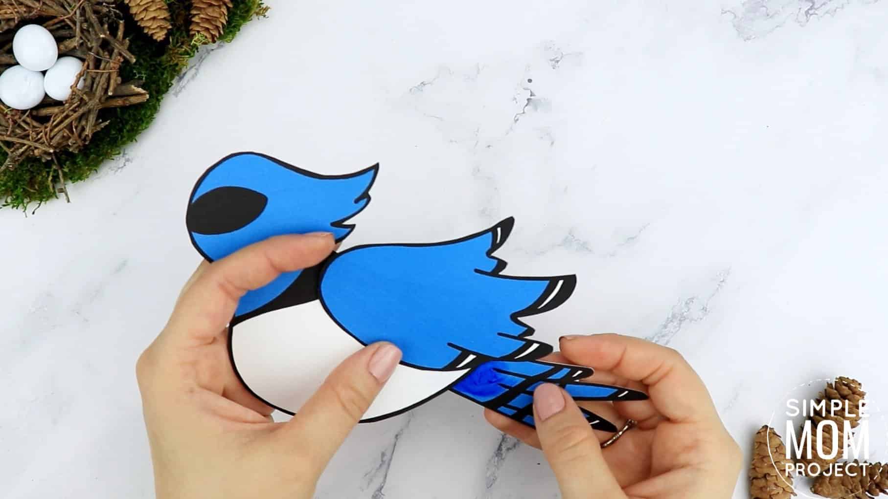 Free Printable Blue Jay Craft for Kids, preschoolers toddlers and kindergartners
