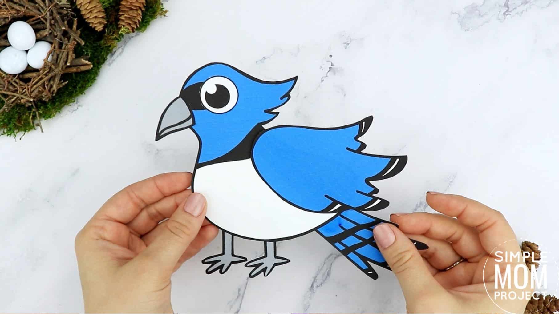 Free Printable Blue Jay Craft for Kids, preschoolers toddlers and kindergartners
