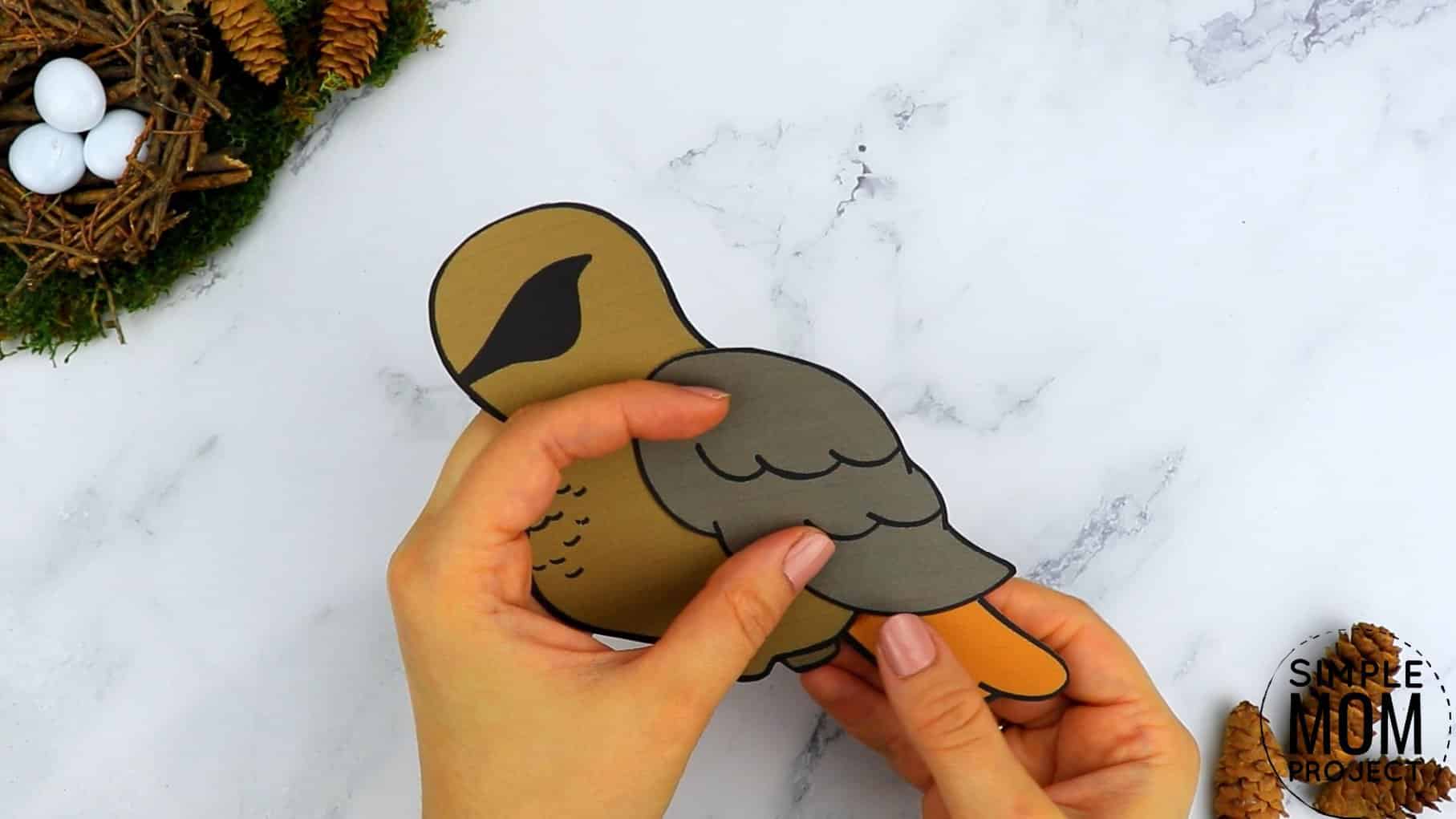 Free Printable Hawk Craft for Kids, preschoolers toddlers and kindergartners