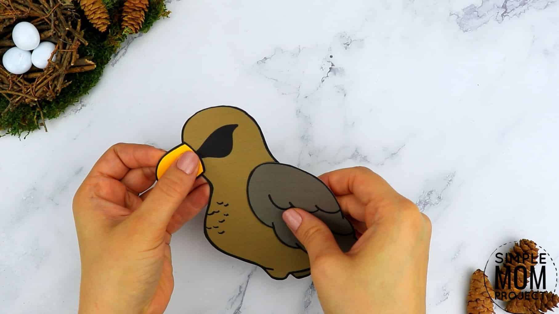 Free Printable Hawk Craft for Kids, preschoolers toddlers and kindergartners