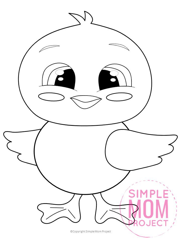 Spring Chick Coloring Page For Kids