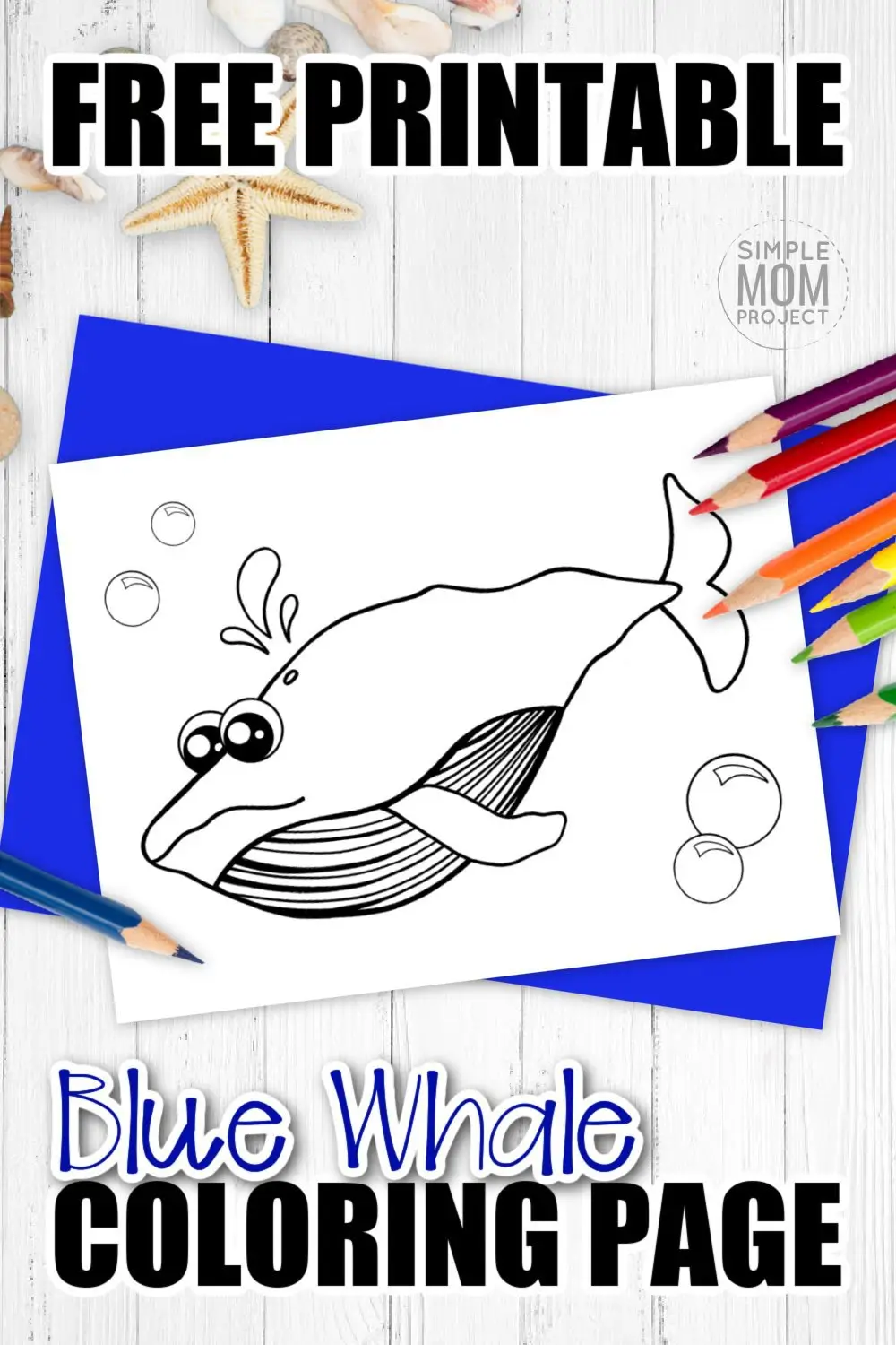 Are you looking for a cute blue whale coloring cartoon page to add to your ocean animal coloring book? Click now to download this free printable fun friend of the humpback, killer and sperm whale; the blue whale! He is perfect for kids of all ages to add to their art collections in preschool or to hang up on the will in their kindergarten classroom. #bluewhalecoloring #whalecoloring #SimpleMomProject