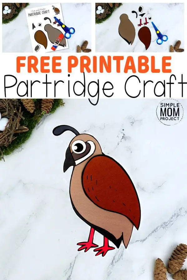 Here’s a great way for your kids to learn the letter P with this simple Partridge craft. Our bird crafts are fun ideas for toddlers, preschoolers or kindergartners. With easy to follow, step by step instructions, this diy paper Partridge craft makes a colorful & creative craft idea, perfectly suited for a cold winter’s day. Grab your free printable cut & paste Partridge craft today! #Partridgecrafts #Birdcraftsforkids