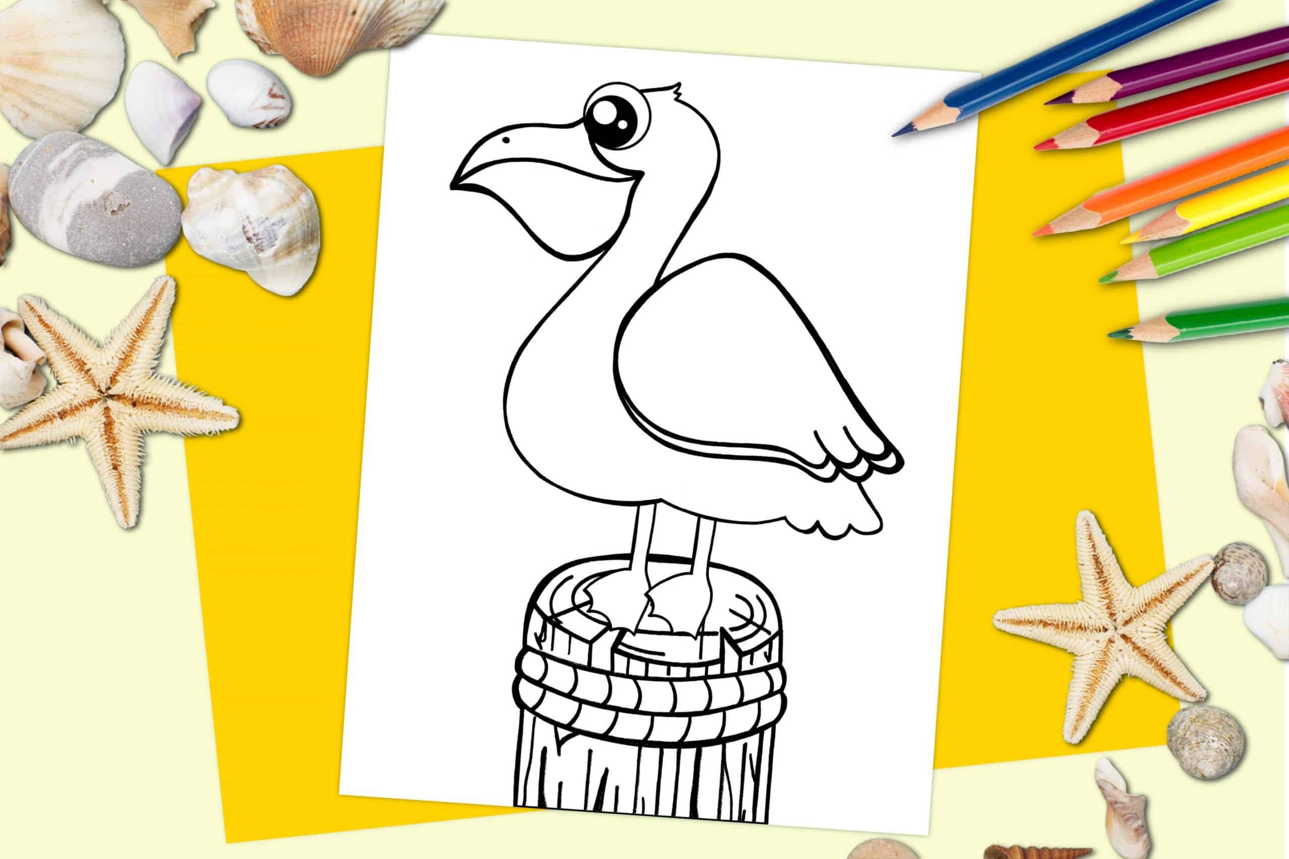 Free Printable Pelican Ocean Animal Coloring Page for kids