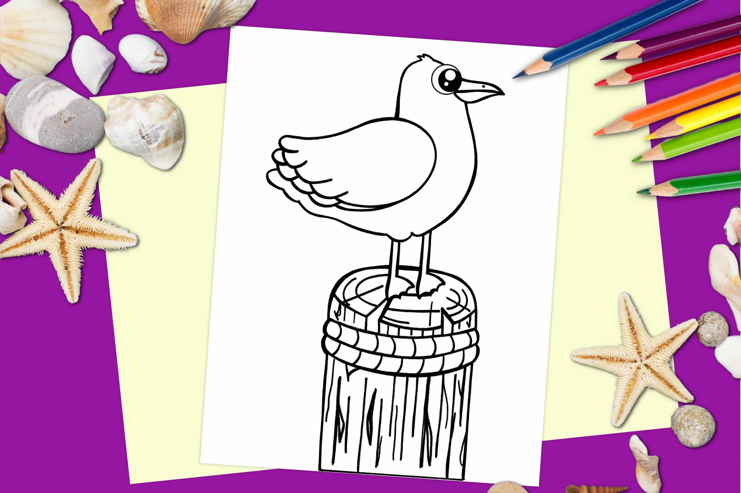 ree Printable Seagull Ocean Animal Coloring Page for kids