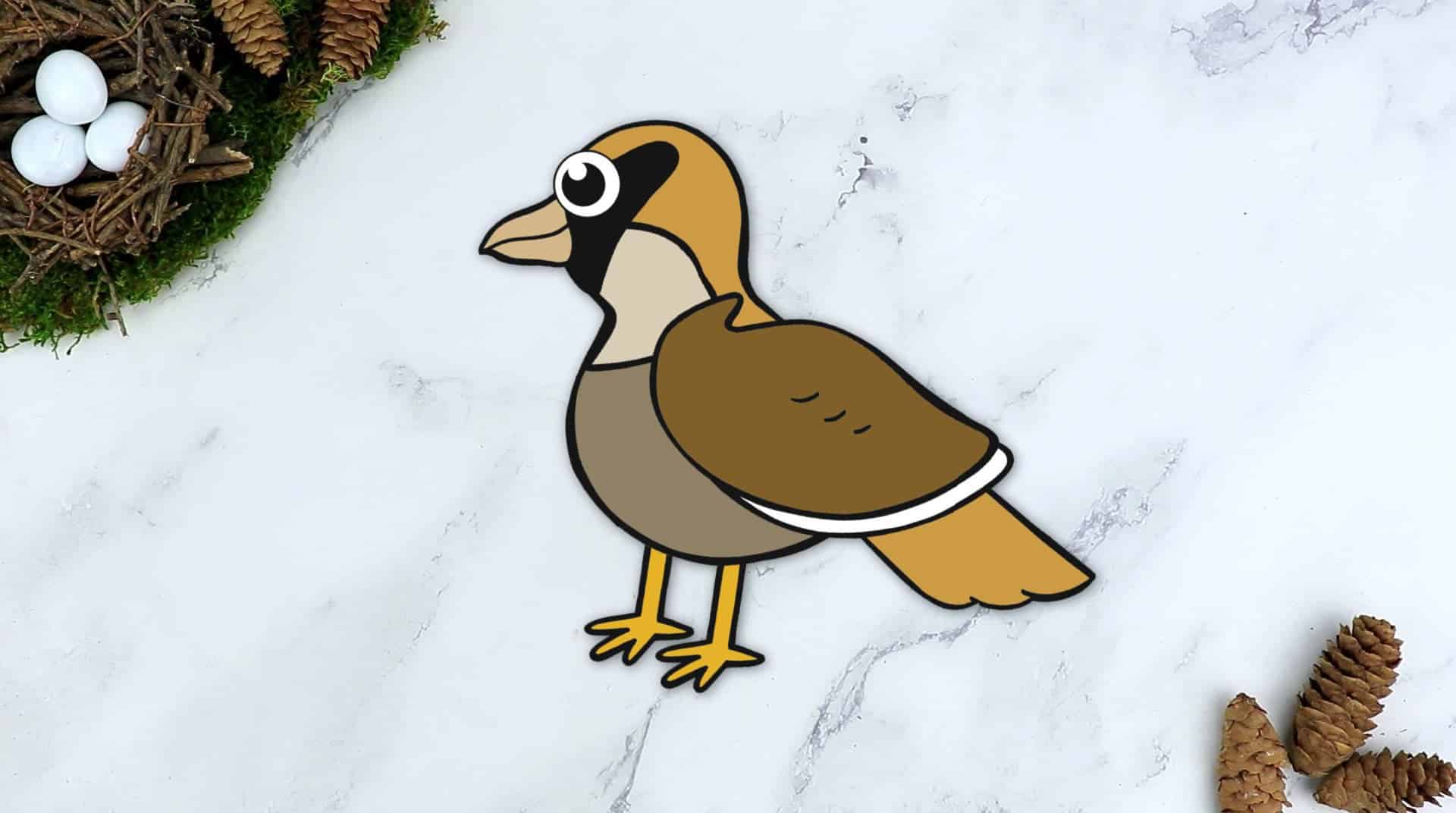 Free Printable Sparrow Craft for Kids, preschoolers toddlers and kindergartners