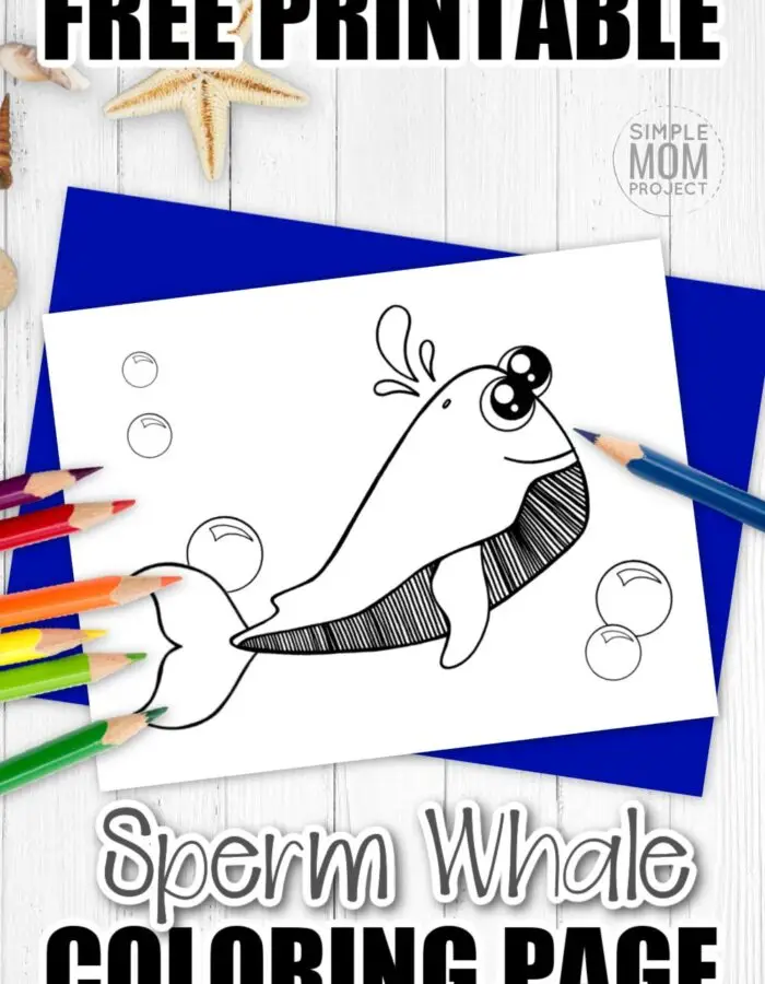 Sperm Whales are family to blue whales, beluga whales, humpback whales and even the Orca whale. I am confident that your kids will love coloring this adorable sperm whale. Click and download the free printable ocean animal coloring page now and add it to your sea creature coloring book! #whalecoloring #oceananimalcoloring #SimpleMomProject