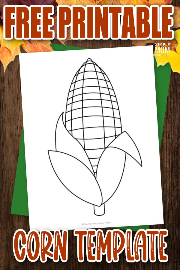 Are you excited for fall? We are! Especially for the sweet corn on the cob. Use this free printable corn template to turn this paper corn into a preschool coloring activity, a fun painting craft or a cute counting activity. This corn template is perfect for your fall themed unit studies.