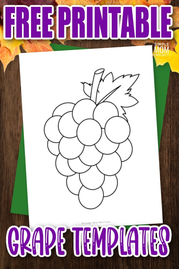 Are you looking for a simple grape stencil to cut out and teach about the letter G? Use this free printable grape template to turn these paper grapes into a preschool coloring activity, a fun painting craft or a cute counting activity. This grape drawing template is perfect for your fruit themed unit studies.