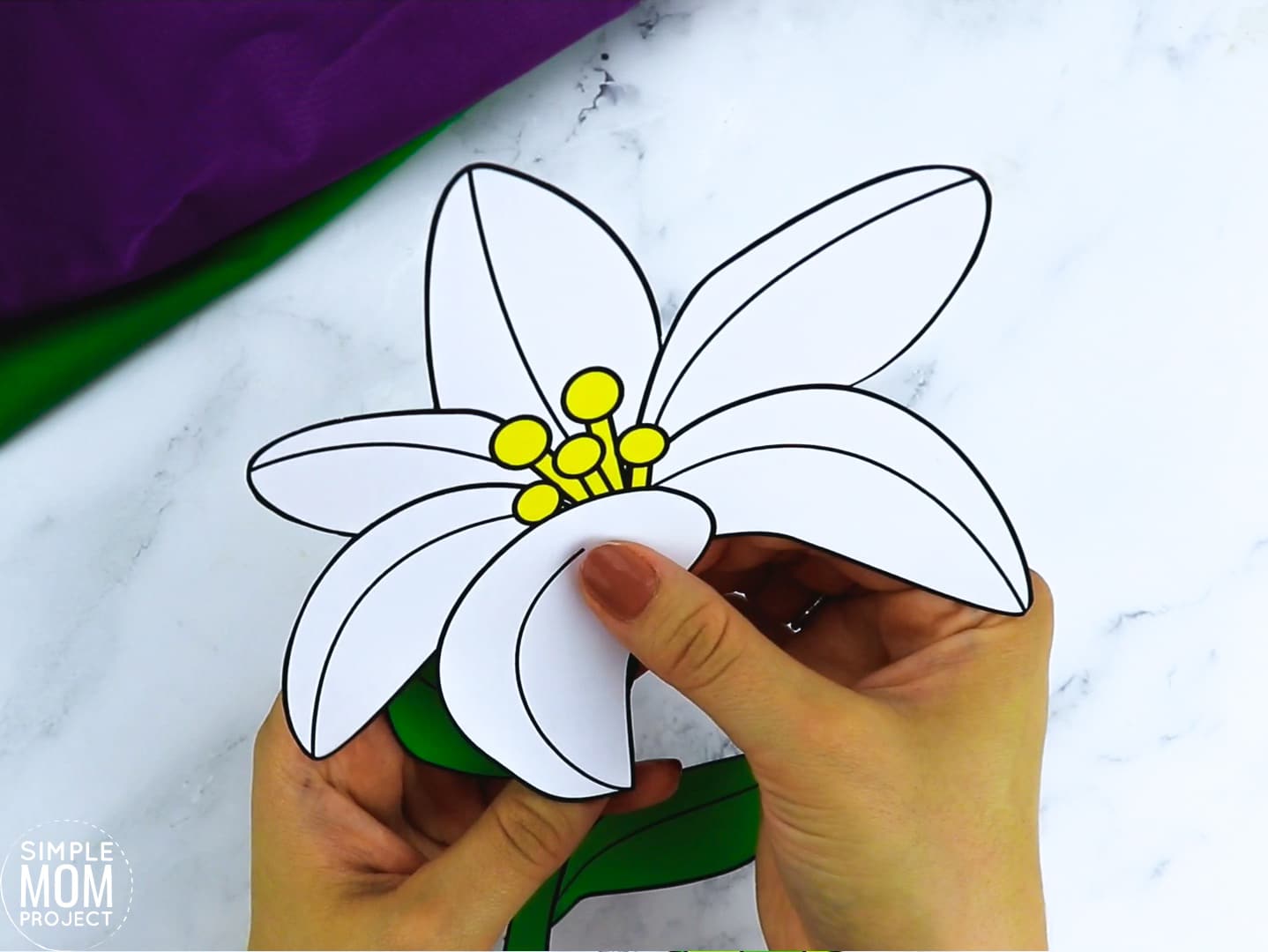 Free Printable Lily Flower Craft template for kids, Lily craft for toddlers and Lily craft for kindergartners