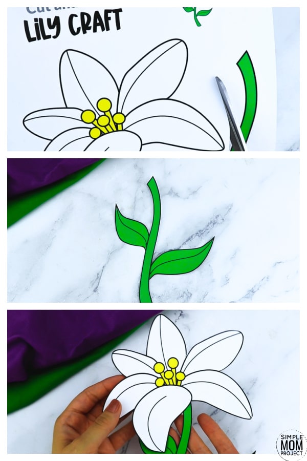 Free Printable Lily Flower Craft template for kids, Lily craft for toddlers and Lily craft for kindergartners
