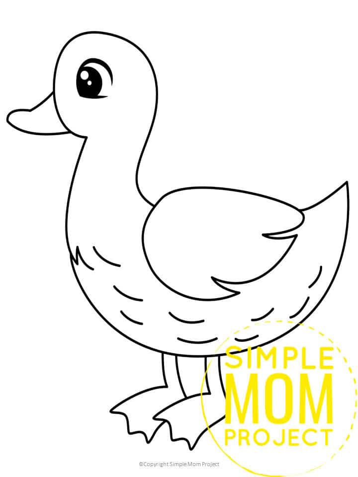 Free Printable Duck Template for Preschoolers toddlers kindergarten kids